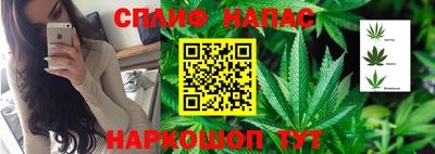 амф Ноябрьск