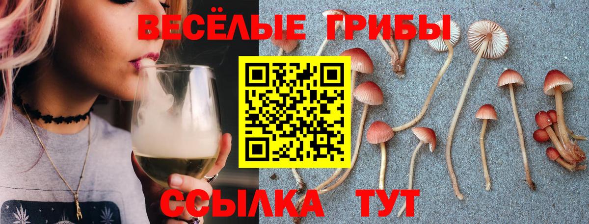 сколько стоит  Псилоцибиновые грибы MAGIC MUSHROOMS  Каспийск  Вход с VPN  Псилоцибиновые грибы Psilocybe 