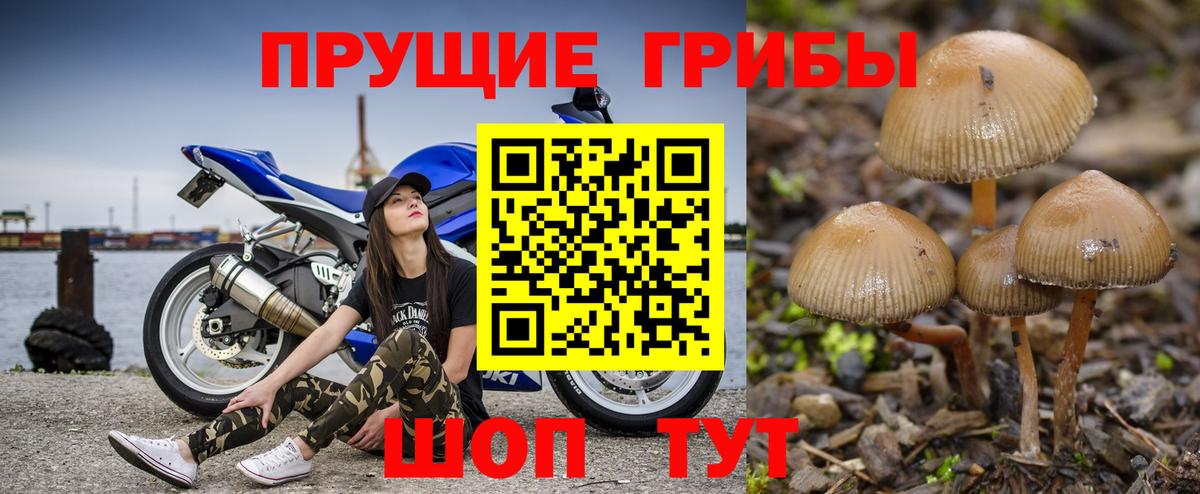 Галлюциногенные грибы GOLDEN TEACHER Каспийск